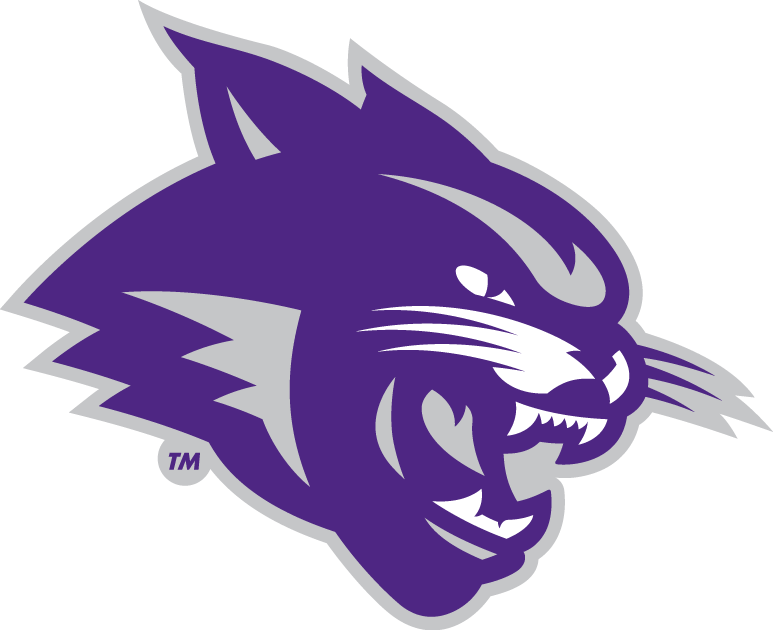 Abilene Christian Wildcats 2013-Pres Partial Logo diy iron on heat transfer